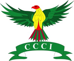 WhatsApp Image 2026-02-12 at 10.44.13 PM