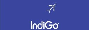 imgi_57_front_logo_indigo
